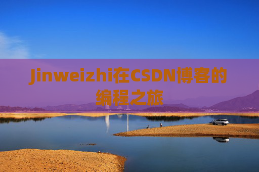 Jinweizhi在CSDN博客的编程之旅